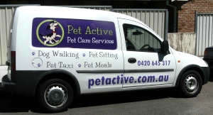 Pet Active Taxi 